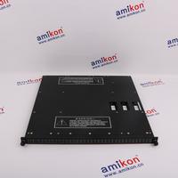 TRICONEX 4351A Distributed Control System (DCS)  | sales2@amikon.cn 